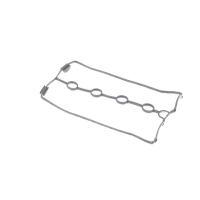 Прокладка клапанной крышки DAEWOO/CHEVROLET Lanos 1,6 16V A16DMS 01/99-> (пластик.) (Elring) Прокладка клапанной крышки DAEWOO/CHEVROLET Lanos 1,6 16V A16DMS 01/99-> (пластик.) (Elring)