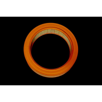 Фільтр повітряний ГАЗ 24, 3102, 31029, 3110, 3302 (вир-во ALPHA FILTER) Фільтр повітряний ГАЗ 24, 3102, 31029, 3110, 3302 (вир-во ALPHA FILTER)