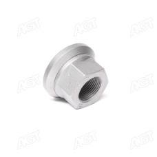 Гайка М22х1, 5x27 колеса з шайбою ТЕФЛОНОВА КАМАЗ, МАЗ, DAF, MAN, MB, SAF, VOLVO, IVECO (DETALKA)
