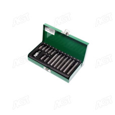 Набір біт 10мм TORX 15од. GAAD1506 (TOPTUL)