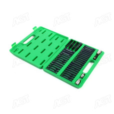 Набір біт TORX, HEX, SPLINE, RIBE, SQ 60од. TOPTUL GCAI6003(TOPTUL)