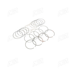 Кольца поршневые /к-кт на 4 поршня/ 0.25 DAEWOO LANOS 1.6 (производство PARTS-MALL)