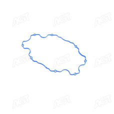 Прокладка клапанної кришки DAEWOO LANOS 1.5, NEXIA, AVEO (T250, T255) SILICONE (4,61мм) (TEMPEST)