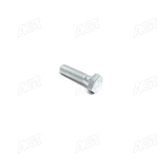 Болт ГАЗ кошик зчеплення 2217,3110 дв.402,406 (М8х30) (DETALKA)