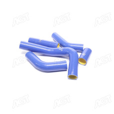 Патрубок радіатора ГАЗ 3302 (дв.4215) (компл. 5шт. силікон) STANDARD (TEMPEST)