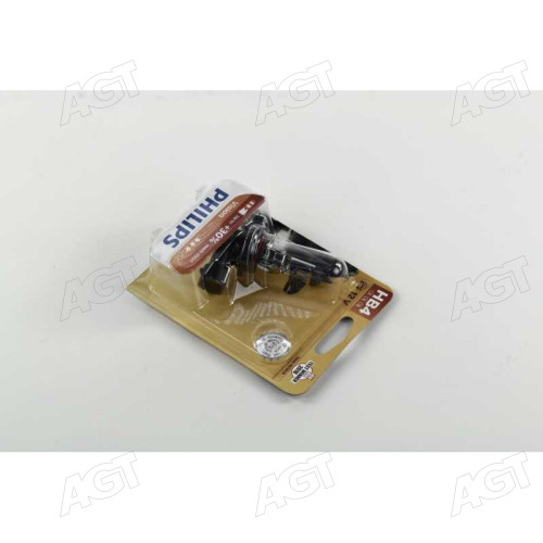 Лампа розжарювання HB4 12V 55W P22d Vision +30 1шт blister (вир-во Philips)
